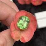 Natural Rutile Peridot
