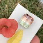 Bi Color Tourmaline