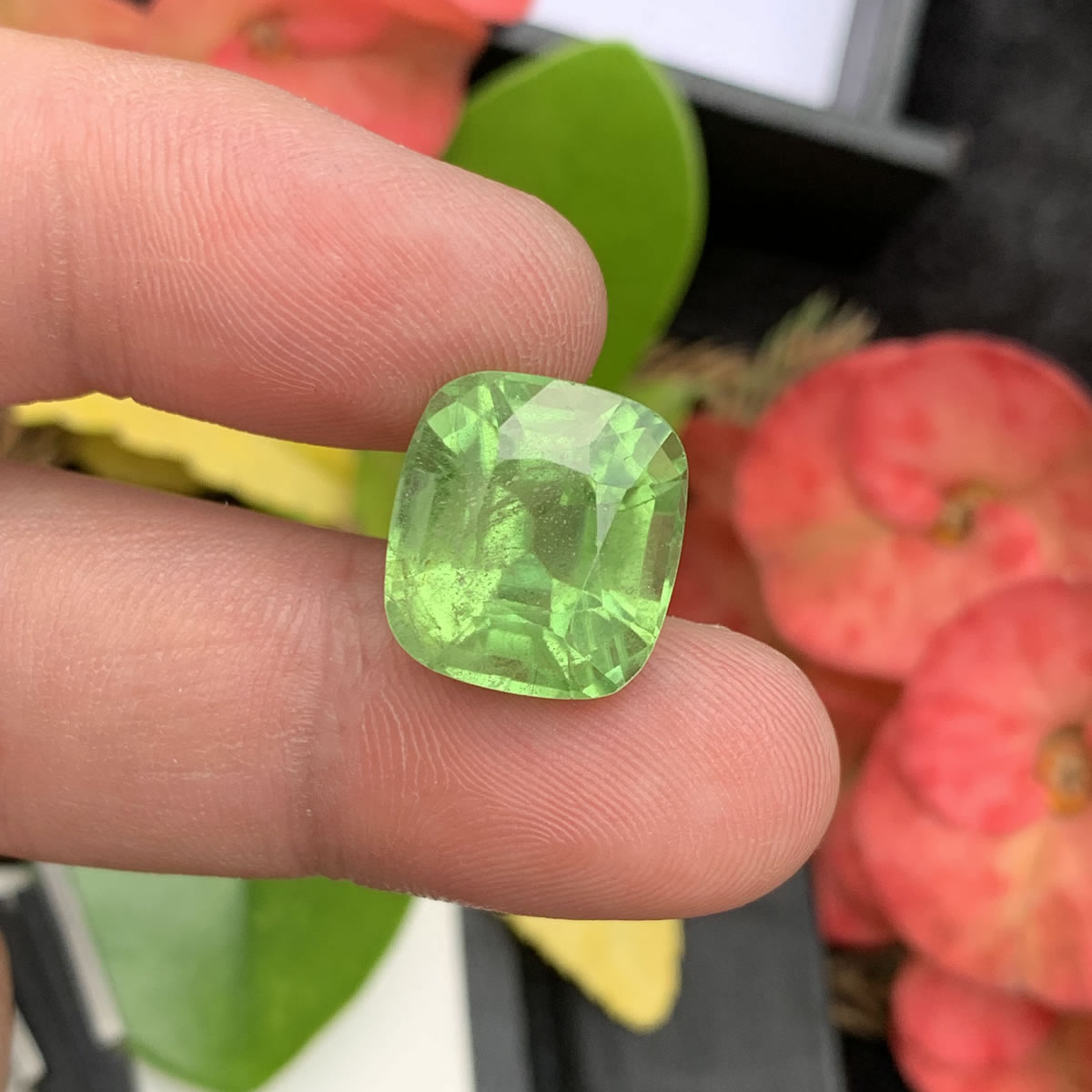 Natural Peridot Natural Peridot