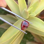 Natural Rhodolite Garnet