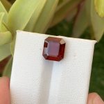 Rhodolite Garnet