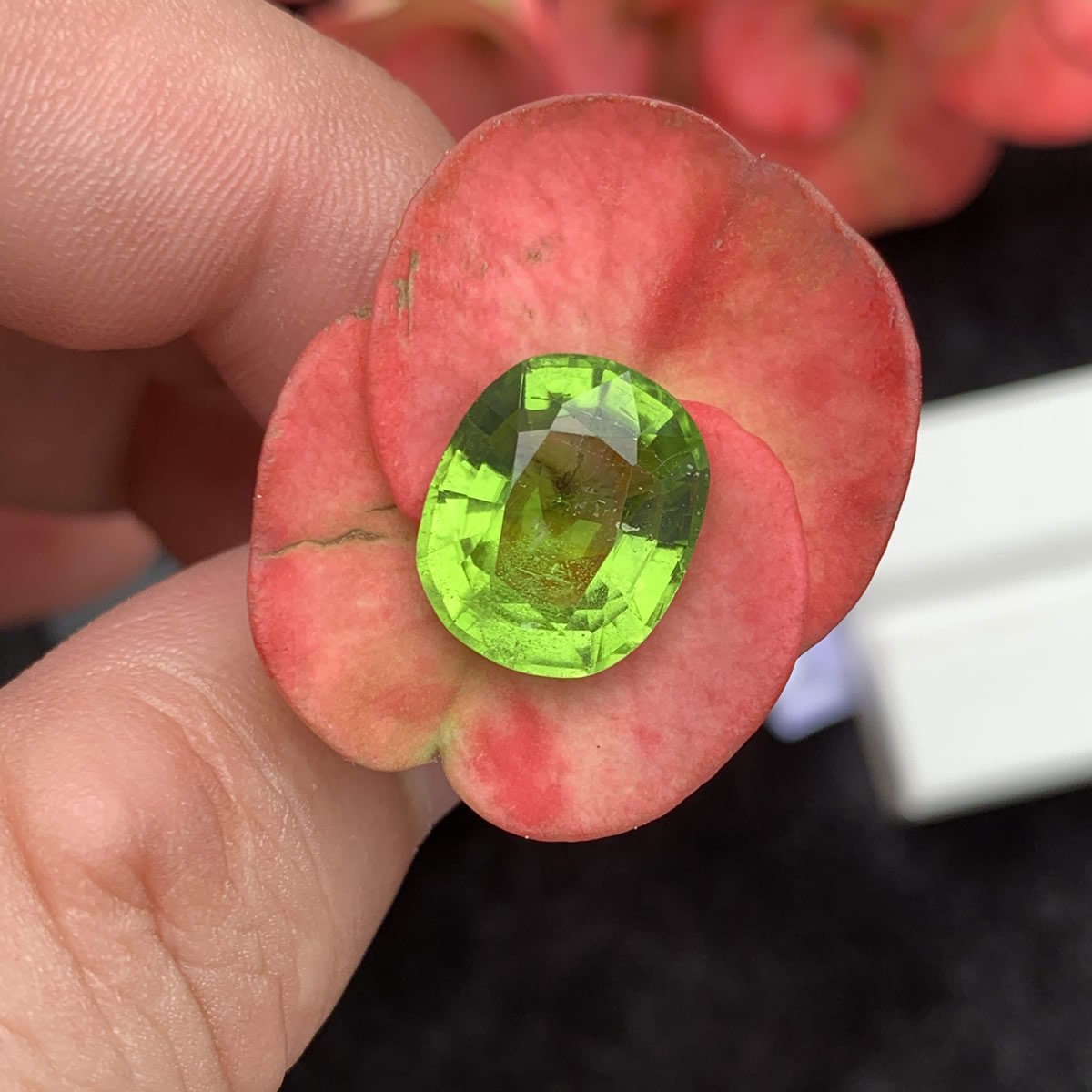 Natural Peridot Natural Peridot