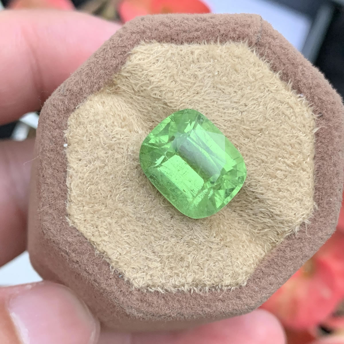 Natural Peridot Natural Peridot