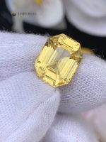 Certified Natural Ceylon Yellow Sapphire 7.61 carats emerald cut loose gemstone measuring 12.46 x 9.79 x 6.58 mm with vivid golden yellow color.