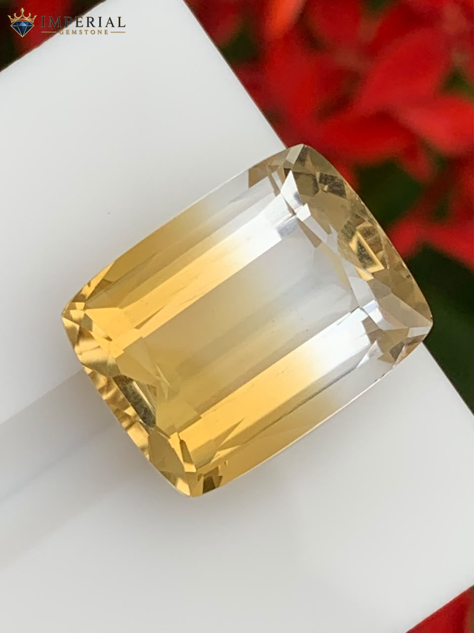 12.85 Carat Natural Bi-Color Citrine Brazil 12.85 Carat Natural Bi-Color Citrine Brazil