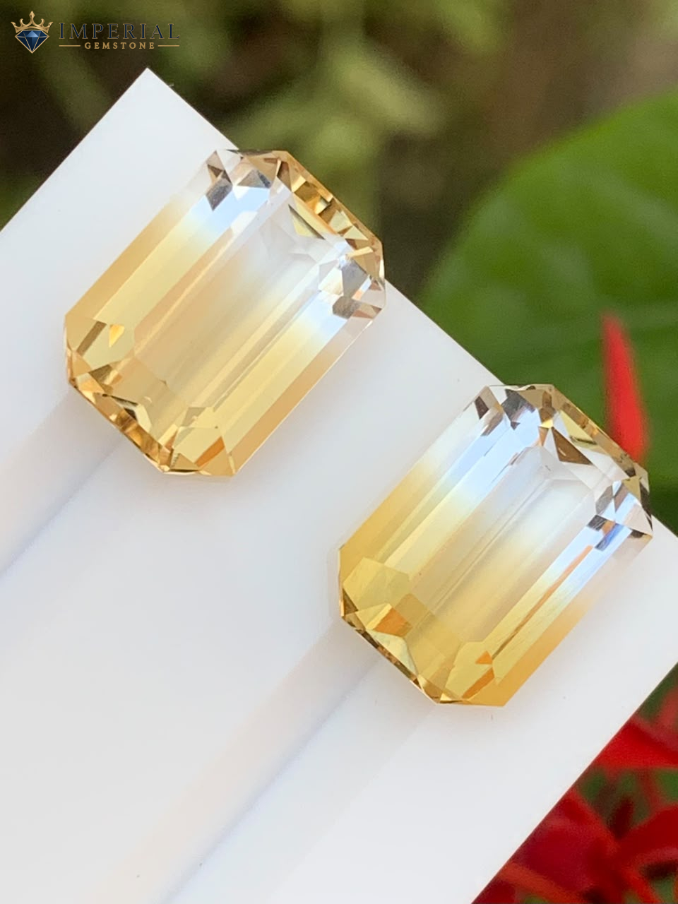 13.40 Carats Natural Bi-Color Citrine Pair Brazil 13.40 Carats Natural Bi-Color Citrine Pair Brazil
