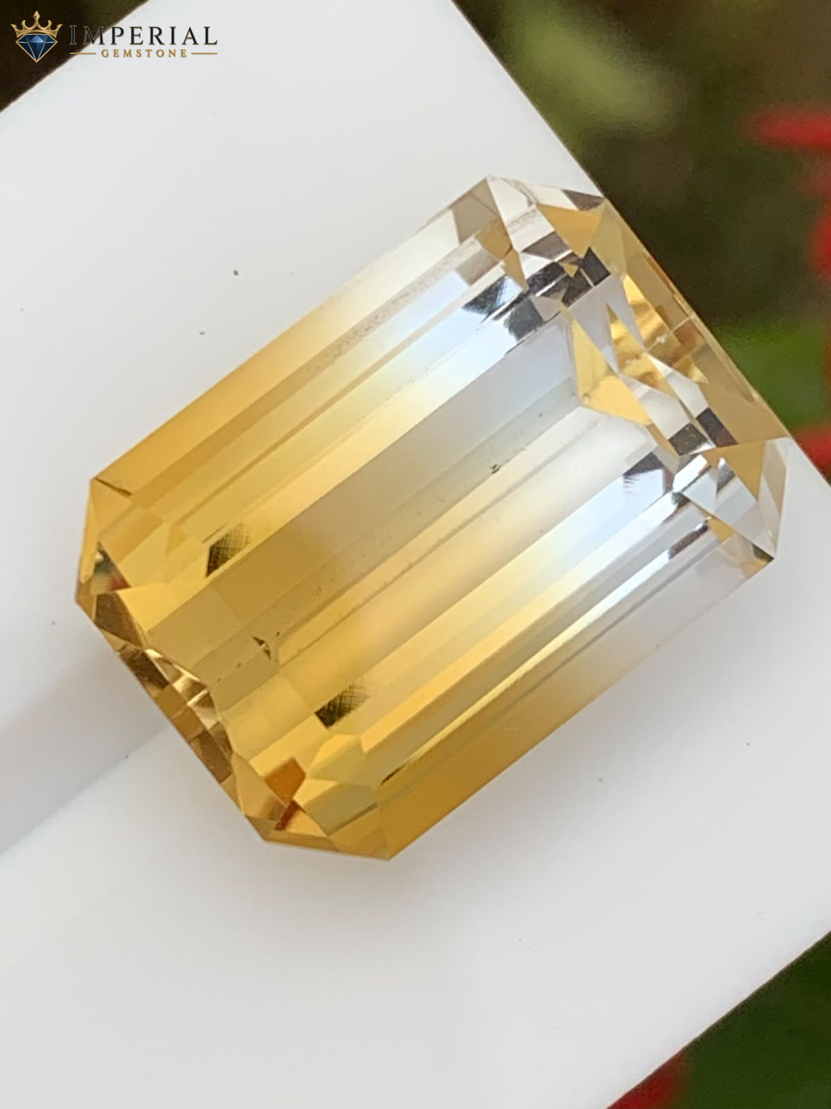 19.70 Carat Natural Bi-Color Citrine Brazil 19.70 Carat Natural Bi-Color Citrine Brazil