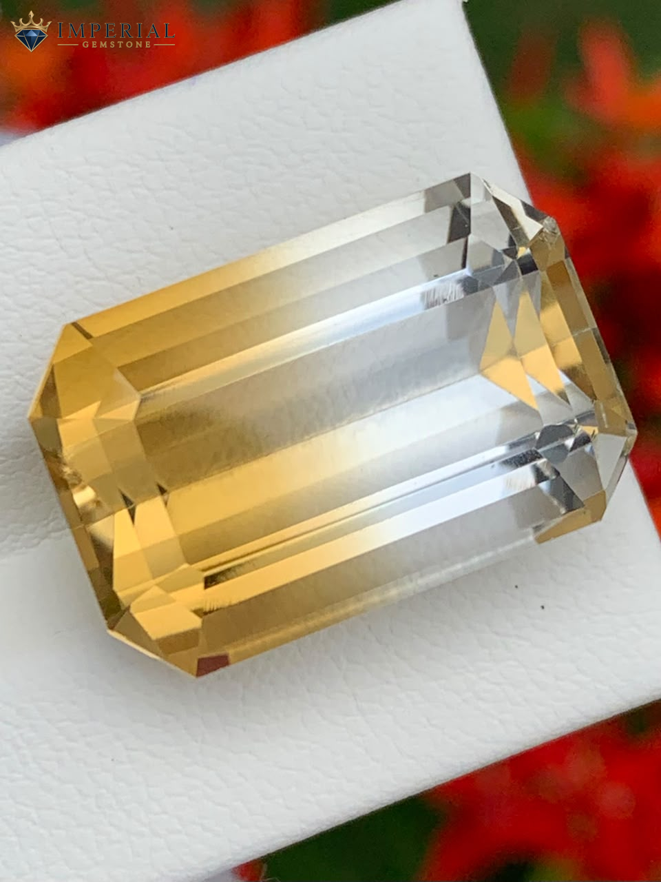 22.50 Carat Natural Bi-Color Citrine Brazil 22.50 Carat Natural Bi-Color Citrine Brazil