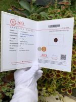 4.47 Ct AIG Certified Natural Malaya Garnet Oval Gemstone - Report
