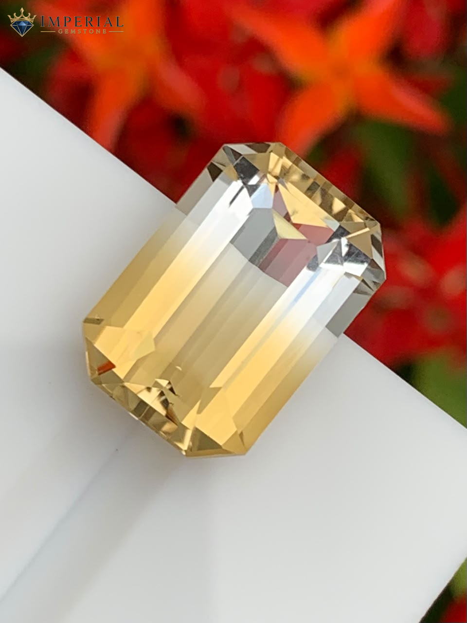 8.55 Carat Natural Bi-Color Citrine Brazil 8.55 Carat Natural Bi-Color Citrine Brazil