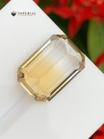 8.55 Carat Natural Bi-Color Citrine Brazil