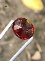 4.10 Carat Natural Rhodolite Garnet Oval Cut VS1 Tanzania - Back View 1