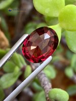 4.36 Carats Certified Natural Rhodolite Garnet Tanzania - Back View 1