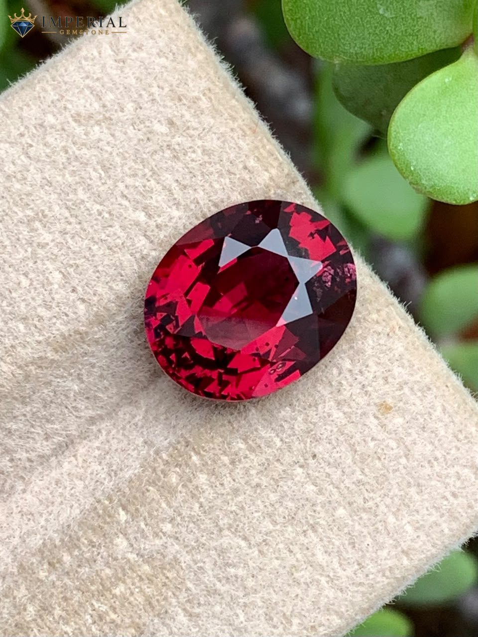 4.88 Carat Certified Natural Rhodolite Garnet Oval Tanzania 4.88 Carat Certified Natural Rhodolite Garnet Oval Tanzania - Main View